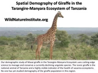 Spatial Demography of Giraffe in the Tarangire-Manyara Ecosystem of Tanzania