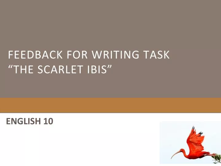 feedback for writing task the scarlet ibis