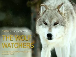 CHAPTER 8 POPULATION ECOLOGY THE WOLF WATCHERS