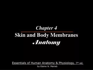 Chapter 4 Skin and Body Membranes Anatomy