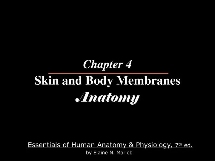 chapter 4 skin and body membranes anatomy