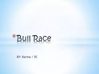 Bull Race