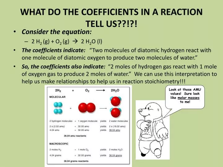 what do the coefficients in a reaction tell us
