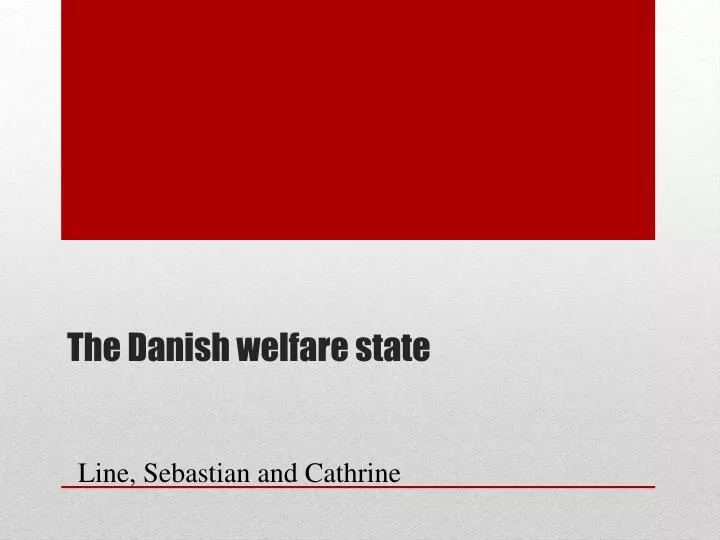 the danish welfare state