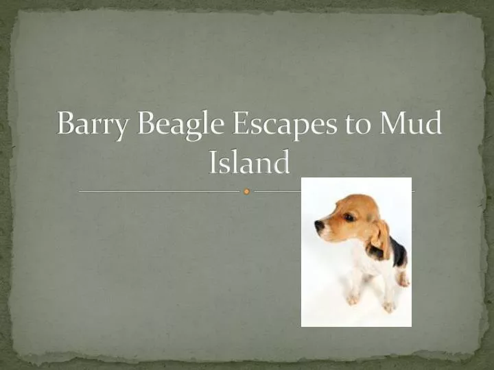 barry beagle escapes to mud island