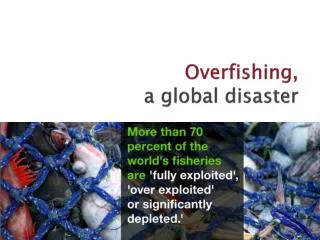 Overfishing, a global disaster