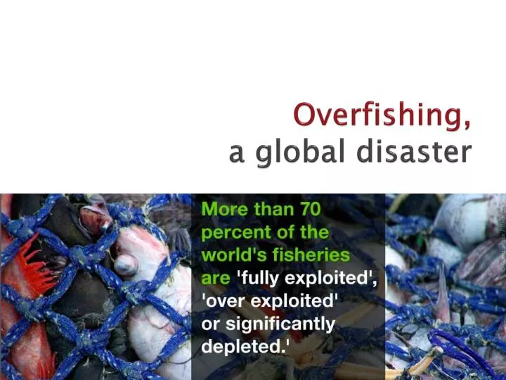 overfishing a global disaster
