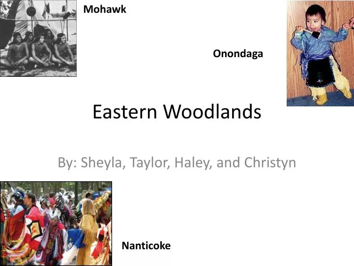 eastern woodlands