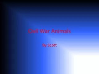 Civil War Animals