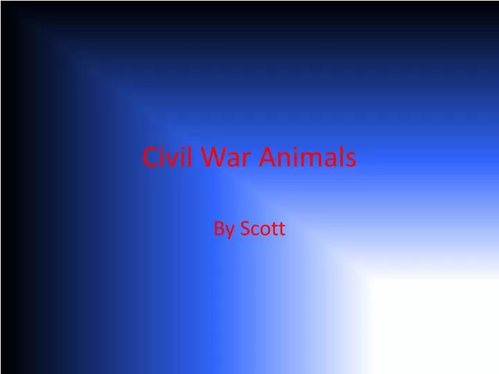civil war animals