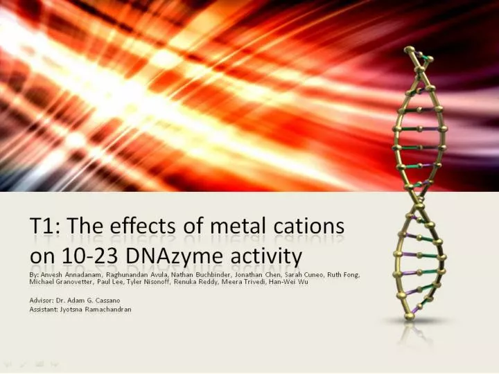 t1 the effects of metal cations on 10 23 dnazyme activity