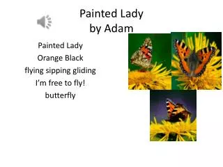 Painted Lady by Adam