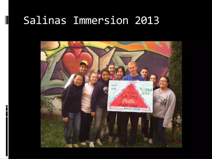 salinas immersion 2013