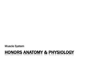 Honors Anatomy &amp; Physiology