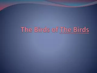 The Birds of The Birds