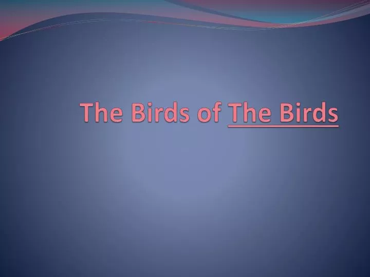 the birds of the birds
