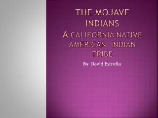 The M ojave Indians A California native American indian tribe