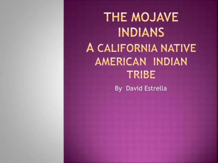 the m ojave indians a california native american indian tribe