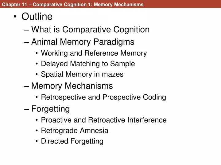 chapter 11 comparative cognition 1 memory mechanisms