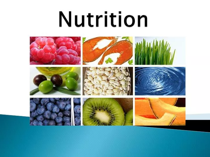 nutrition