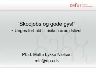 ” Skodjobs og gode gys!” - Unges forhold til risiko i arbejdslivet