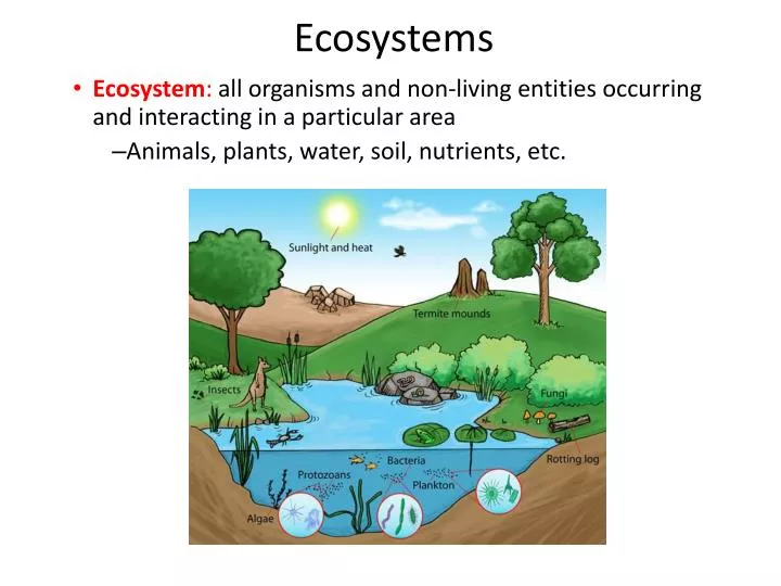 ecosystems