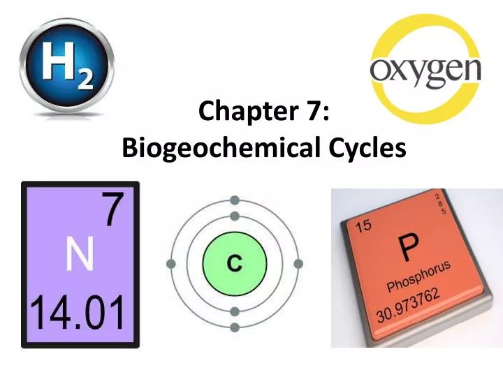 chapter 7 biogeochemical cycles