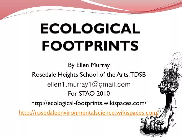 ecological footprints