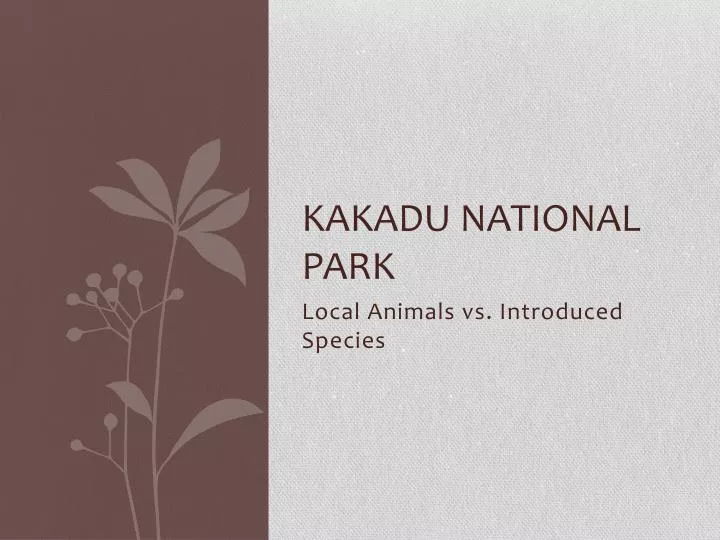 kakadu national park