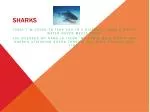 Sharks - slide 1