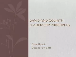 David and Goliath Leadership Principles