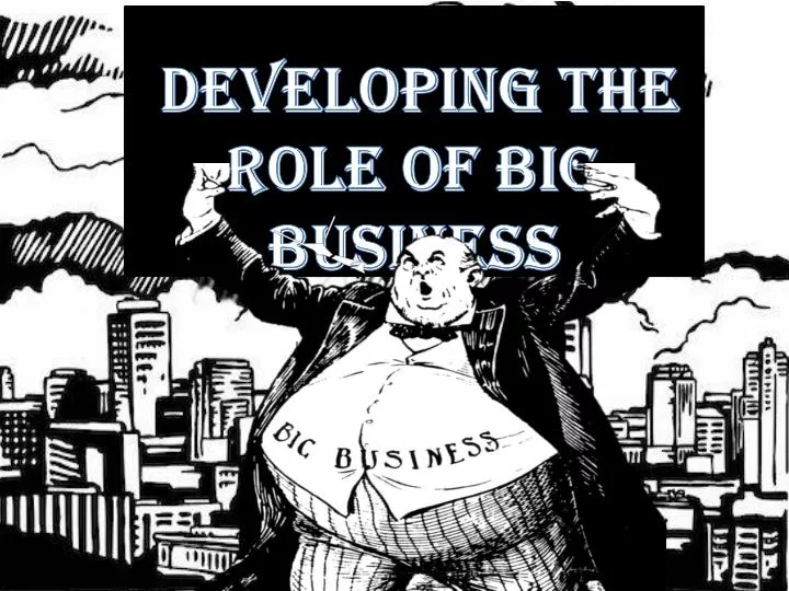 developing the role of big business
