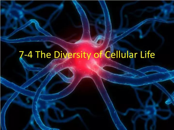 7 4 the diversity of cellular life
