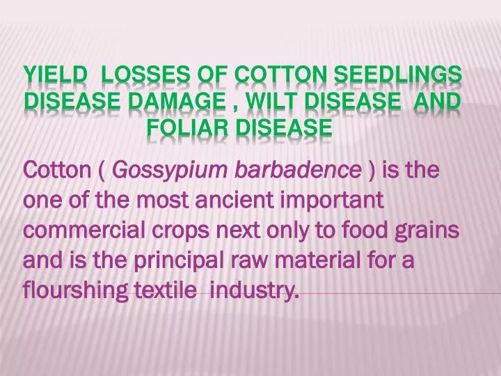 yield losses of cotton seedlings disease damage wilt disease and foliar disease