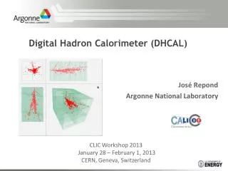 Digital Hadron Calorimeter (DHCAL)