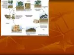Understanding Nectria Canker: A Threat to Apples, Pears, and Hardwood Trees - slide 1