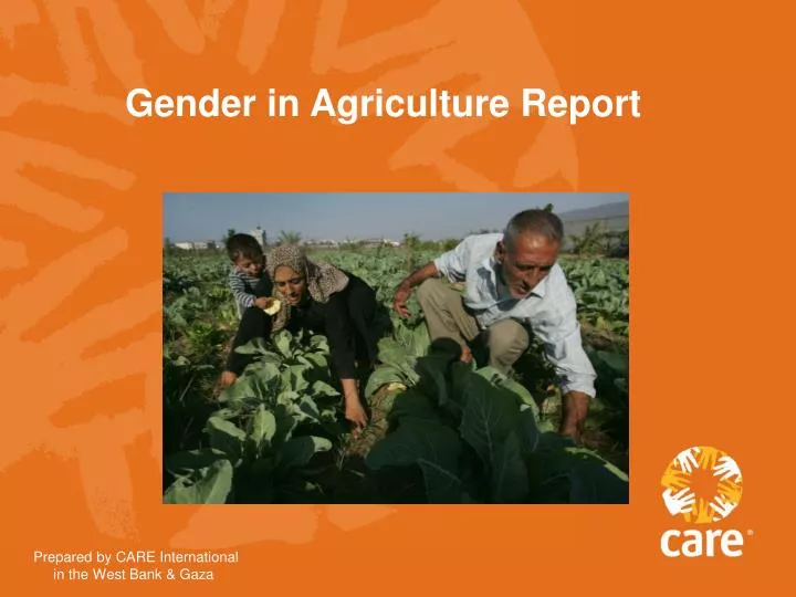 gender in agriculture report