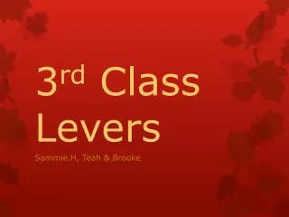 3 rd Class Levers