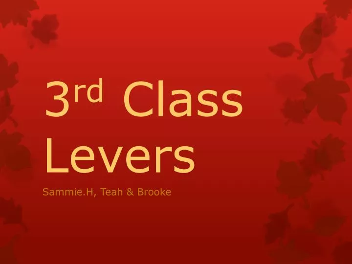 3 rd class levers