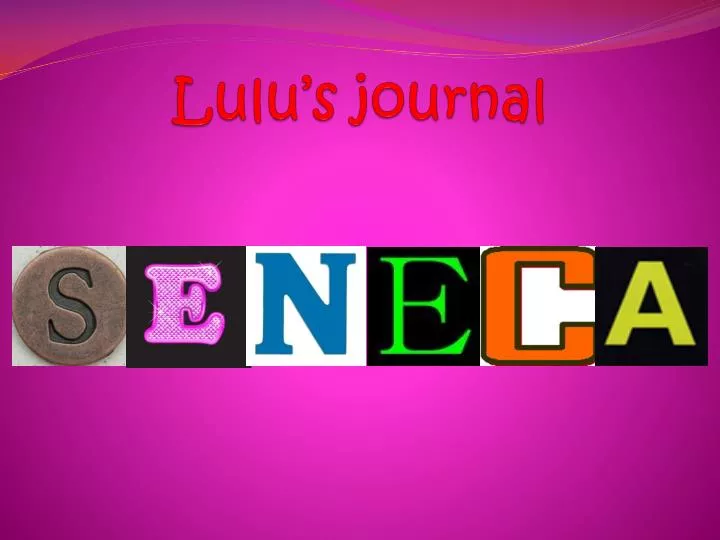 lulu s journal