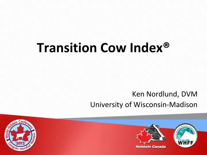 transition cow index