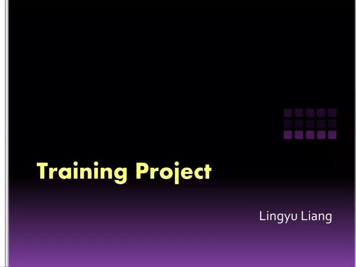 training project