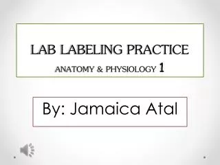 LAB LABELING PRACTICE ANATOMY &amp; PHYSIOLOGY 1