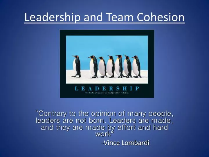 leadership and team cohesion