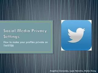 Social Media Privacy Settings