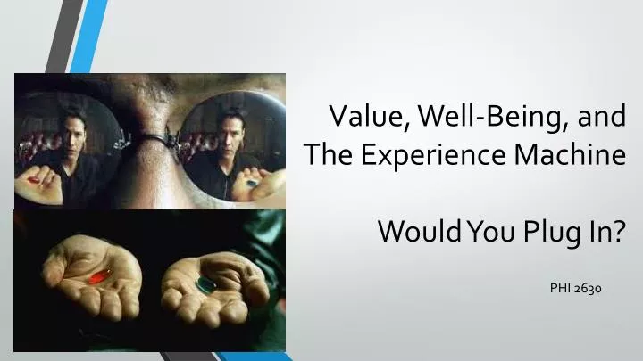value well being and the experience machine would you plug in