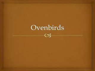 ovenbirds