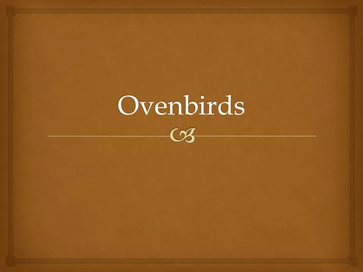 ovenbirds