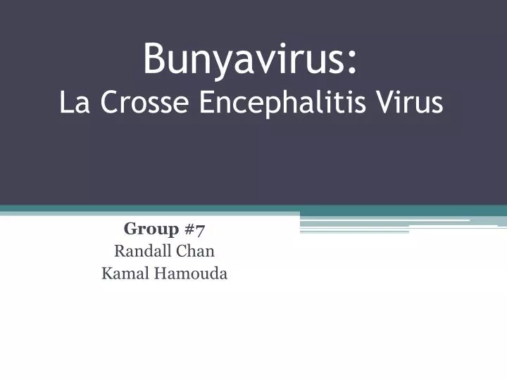 bunyavirus la crosse encephalitis virus