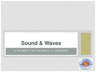 Sound &amp; Waves